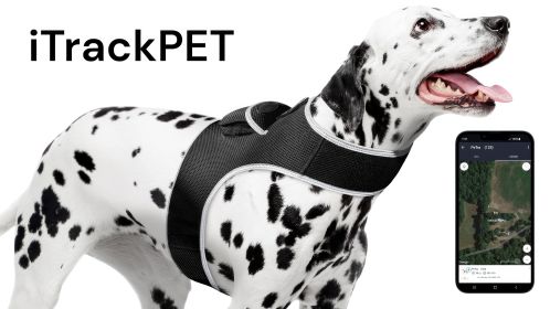 Portable Mini GSM GPS Collar Mounted Puppy Tracking Device Waterproof Size:M