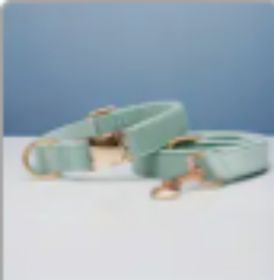 Multiple Colour Velvet Personalise Dog Collar Leash Set With Bow (Option: Cyan set-S)